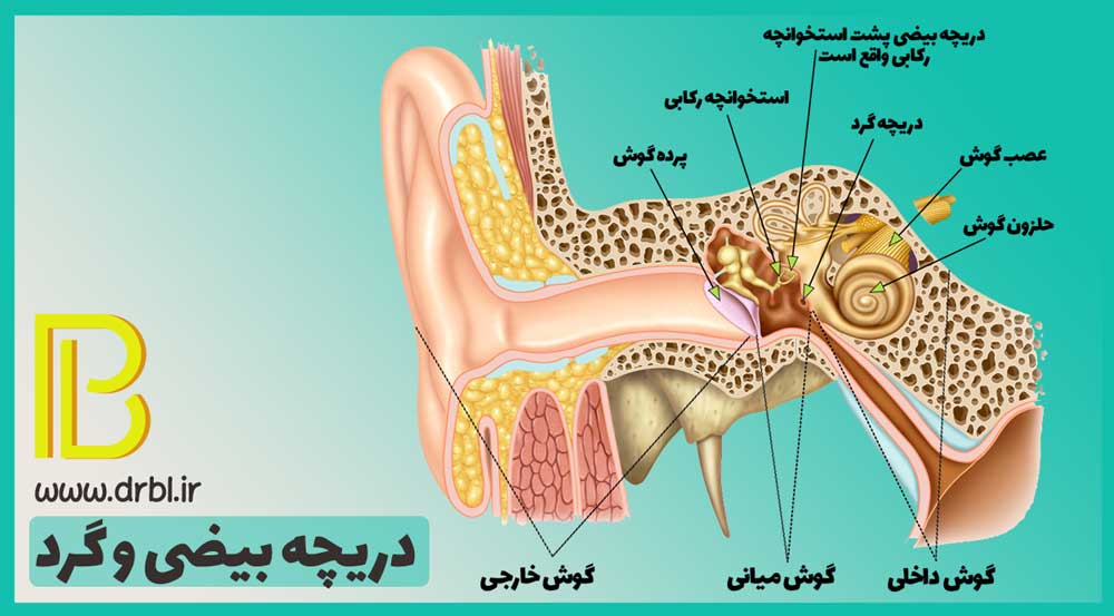 فیستول پری لنف در اثر پارگی غشا دریچه بیضی یا گرد رخ می دهد که طی آن مایع گوش داخلی به گوش میانی نشت می کند